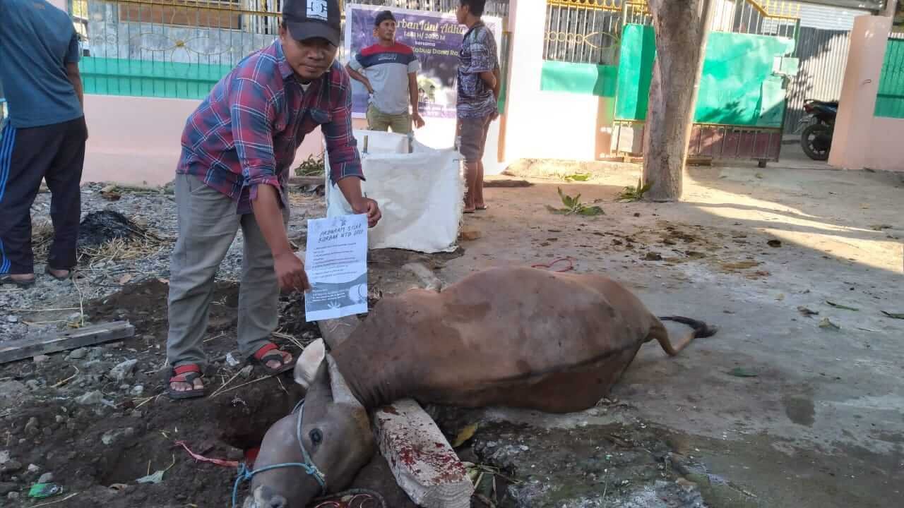 Pemotongan sapi Idul Adha 1441 H