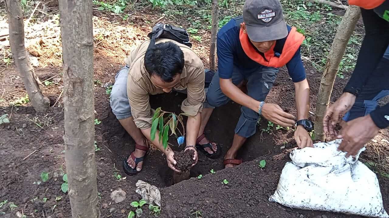 Kegiatan penanaman di pegunungan So Waro Witi