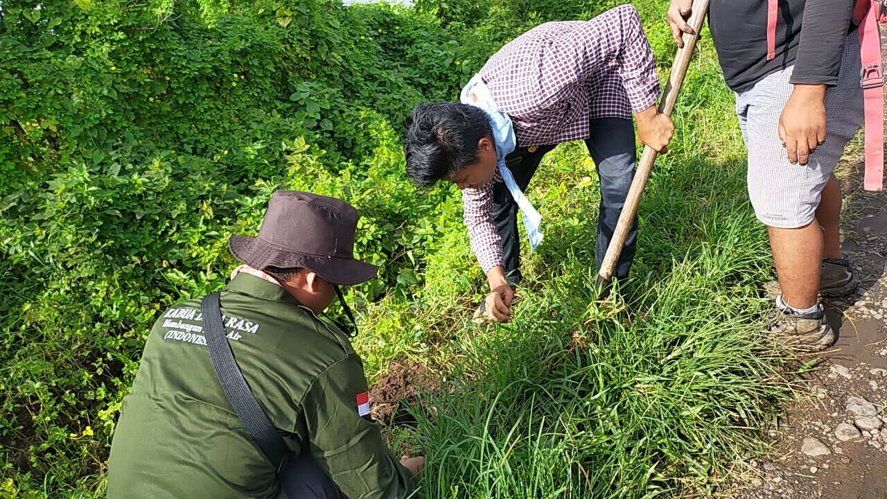 Penanaman bibit Mahoni