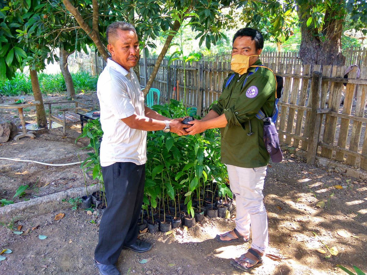 Penyerahan Bantuan 150 bibit buah nangka dan alpokat untuk kegiatan penghijauan di Pondok Pesantren Nahdlatul Wathan