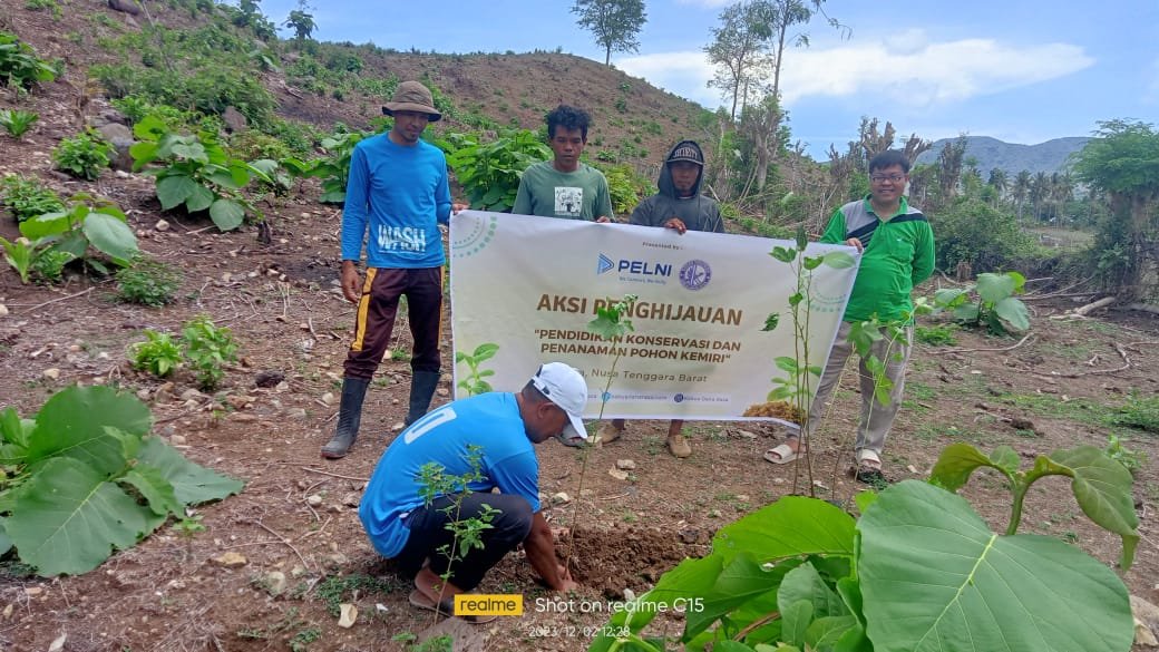 Proses Penanaman Pohon